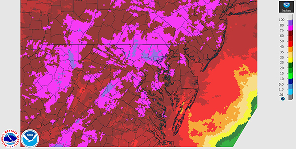 Map of total 2018 rainfall in sections of the Chesapeake Bay watershed
