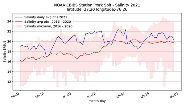 Line graph showing salinity at the CBIBS York Spit buoy in summer 2021, as well as average 2016-2020 and max-min range 2016-2020