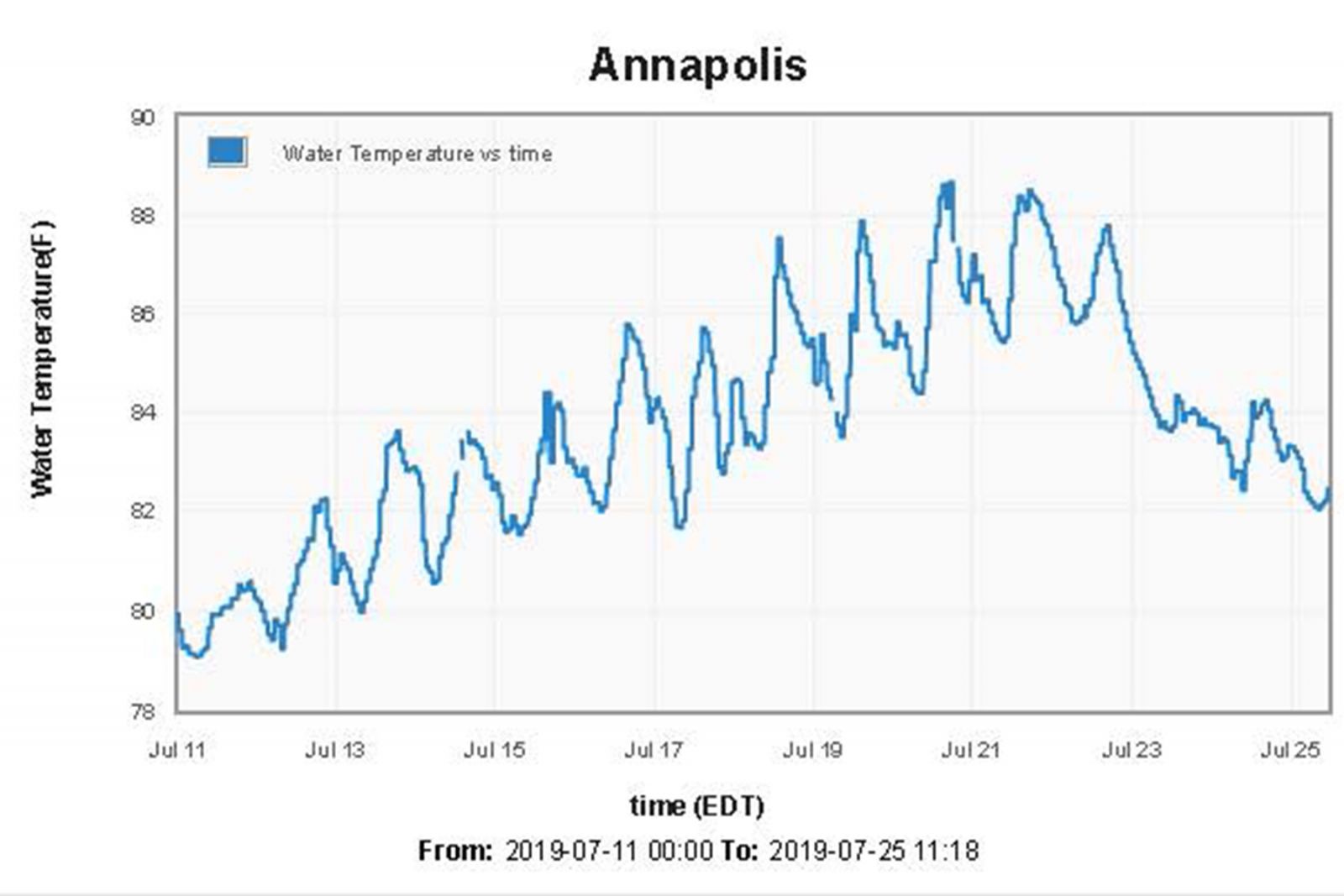 We're in Hot Water! Precautions for Responsible Summer Fishing