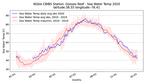 graph of sea water temp in 2020 and average at Gooses Reef