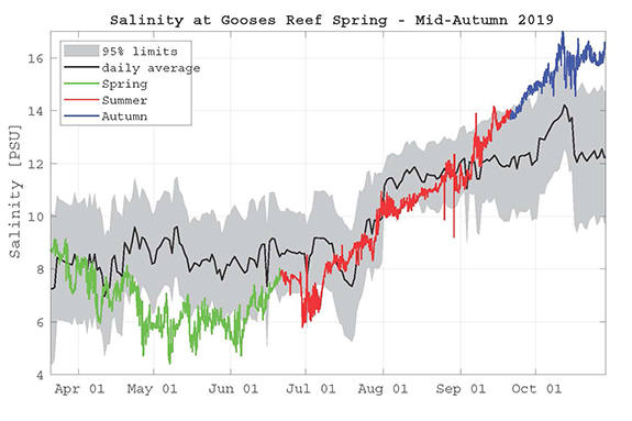 graph of salinity at the CBIBS Gooses Reef buoy, spring through mid-fall 2019