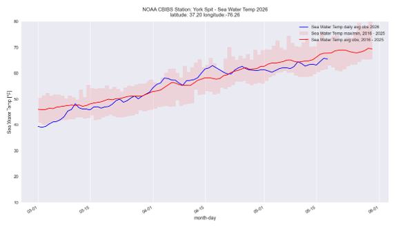 Graph of water temperature at the CBIBS York Spit Station for spring 2026